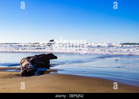 Arch Cape, Oregon - November 26th 2015: Waves crash against the shore, with a large piece of driftwood resting on the beach in the foreground. Stock Photo