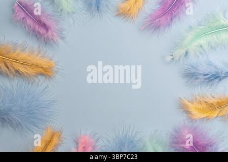 Frame boarder made of feathers on blue background. Backdrop for designers Stock Photo