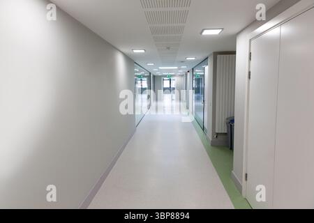 Flat design corridor is featuring recessed lights and glass panels with green exit signs Stock Photo
