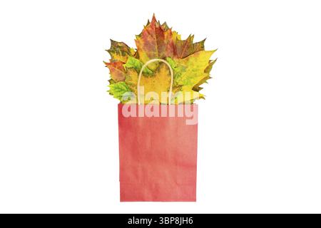 Autumn bouquet of dry maple leaves in red paper bag on white background. Fall shopping concept with copy space Stock Photo