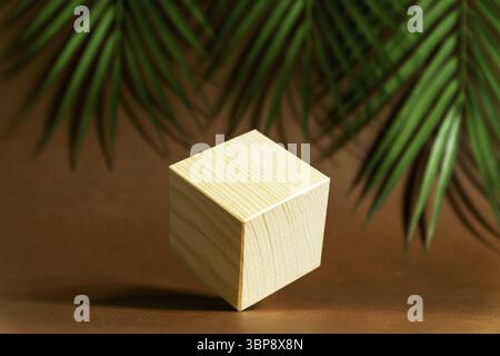 Design concept - geometric real wooden cube with surreal layout on green tropical leaves background Stock Photo