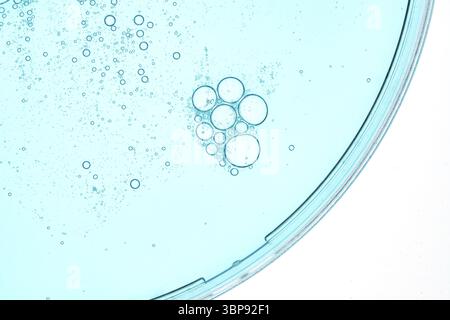 Petri dish. Petri's cup with blue liquid. Chemical elements, oil, cosmetics. Gel, water molecules, viruses. Close-up. On a white background Stock Photo