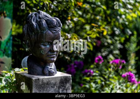 A bronze bust of Mia Hesse with a downcast gaze stands in the garden of the Mia and Hermann Hesse House in Gaienhofen, Baden-Württemberg, Germany, in front of flowering purple phlox. The greenish-patinated bronze depicts Mia Hesse, née Maria Bernoulli (1868–1963), a pioneer of photography in Switzerland who married Hermann Hesse in 1904. Stock Photo
