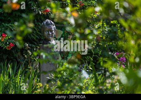 A bronze bust of Mia Hesse stands among flowering shrubs in the garden of the Mia and Hermann Hesse House in Gaienhofen, Baden-Württemberg, Germany, beside an explanatory information panel. Mia Hesse, née Maria Bernoulli (1868–1963), came from a wealthy Basel family of scholars as the daughter of notary Friedrich Bernoulli and was a pioneer of photography in Switzerland. In 1904, she married Hermann Hesse, and the couple moved from Basel to the Höri peninsula on Lake Constance. Mia Hesse gave up her career as a photographer. Stock Photo