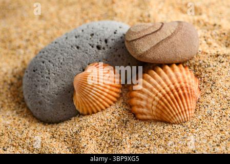 Sfondo estivo con conchiglie e pietre, concetto di vacanza estiva  Summer concept background with sand, seashells and stones,  summer vacation holiday Stock Photo