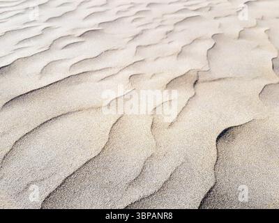 Close-up of a naturally colored sand dune in Gran Canaria Spain with elegant wavy textures in soft light Stock Photo