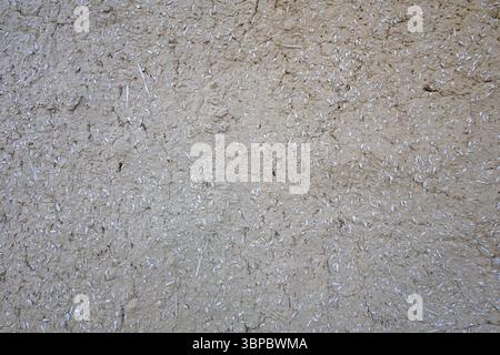 Close-up of a textured wall made from natural materials like straw and mud, offering a rustic and organic feel suitable for backgrounds, wallpapers, o Stock Photo
