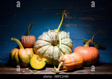 Rustic wooden table with assorted pumpkins forms charming autumn composition. Thanksgiving-inspired setting captured in natural light and cozy fall atmosphere Stock Photo