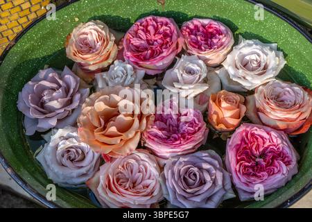 flowers floating in a water tub display Stock Photo
