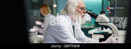 Website header shot of senior Caucasian man with grey hair and beard examining sample through microscope in scientific laboratory, female scientist working in background conducting research Stock Photo