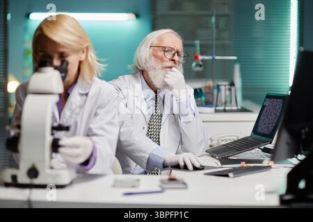 Senior Caucasian man with grey hair and beard wearing lab coat sitting at laboratory desk analyzing data on computer, while middle aged Caucasian woman using microscope nearby Stock Photo