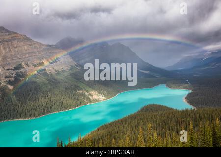 Aerial view of a vibrant rainbow arches over the turquoise waters of Peyto Lake, nestled amidst the rugged peaks and dense forests of the Canadian Rockies, Peyto Lake, Alberta, Canada. Stock Photo