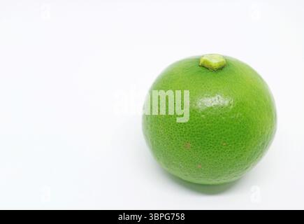Closeup of a Vibrant Green West Indian Lime Isolated on White Background Stock Photo