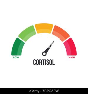 Cortisol meter gauge. Body stress response levels. Round chart with ...