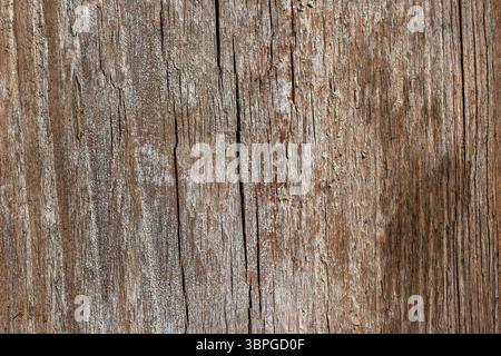 Wood abstract texture. Surface grunge backdrop. Dirty wooden effect pattern. Material background. Graphic resource. Stock Photo