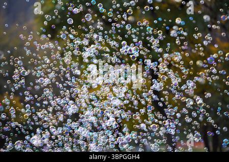 Lots of bubbles in the park Stock Photo