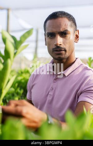 Asian man standing among rows of potted plants in greenhouse, inspecting growth on tablet Stock Photo