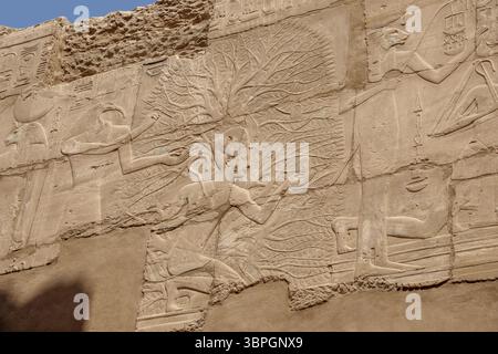 Close up of relief work showing Seti I in the Persea Tree on  North wall at the Temple at Karnak, Luxor Egypt Stock Photo
