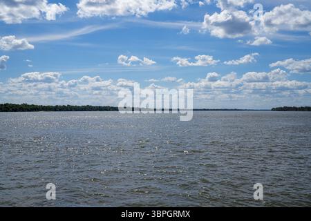 Amazing view of Xingu river water and Amazon rainforest trees in Xingu indigenous land, Brazil. Environment, ecology, conservation, biodiversity Stock Photo