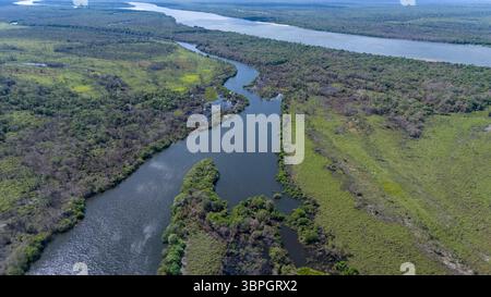 Amazing drone aerial view of Xingu river and Amazon rainforest trees in Xingu indigenous land, Brazil. Concept of environment, ecology, conservation Stock Photo