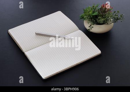 Blank open notebook on desk with pen ready for writing. Stock Photo