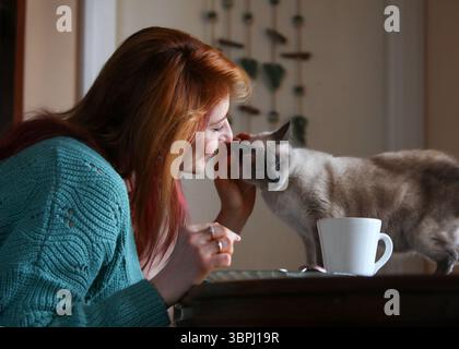 Cozy indoor scene with ginger-haired woman, 30s, sitting at table in home wear. Having breakfast and coffee, bonding with her cat. Stock Photo