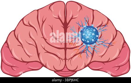 Vector illustration of a human brain with a highlighted neural network. Detailed, colorful design emphasizing neural connections Stock Vector