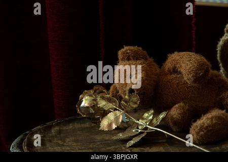 Teddy bear with golden rose on chair in cozy room with burgundy curtains in dark Stock Photo