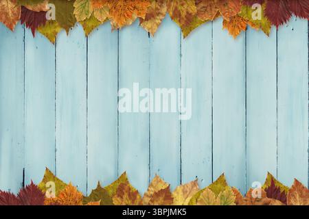 Light blue wooden planks are creating flat design backdrop with autumn leaf border Stock Photo
