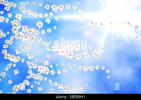 Digitally generated pretty flower background Stock Photo