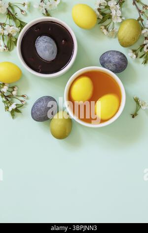 Natural dye for easter eggs - carcade and turmeric. Homemade colored easter eggs on a light green background. Top view flat lay. Copy space Stock Photo