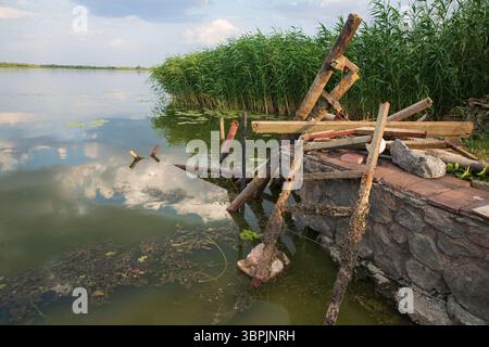 Old rusty ladder with shells on a stone pier by a lake with green reeds and cloudy sky reflection in water. Concept of decay, environment, and nature Stock Photo