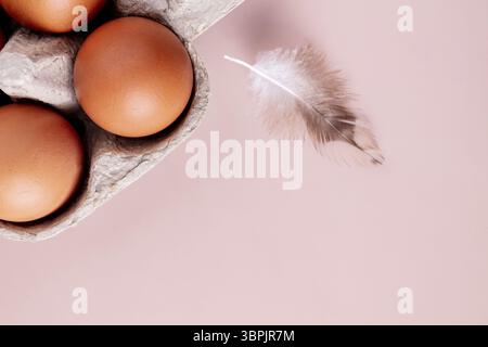 Beige chicken eggs and feather lie in a cardboard box, copy space Stock Photo