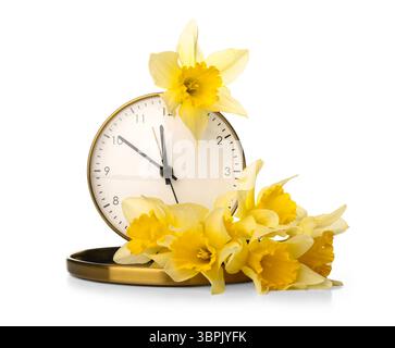 Yellow daffodils and clock on white background Stock Photo