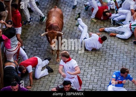 A runner is knocked down by a bull during the seventh running of the ...
