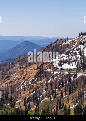 A winding mountain highway cuts through a recovering burnt forest with patches of snow on steep alpine slopes in Lassen Volcanic National Park Stock Photo