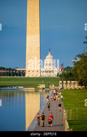 In 1884, the tallest buildings in the world included structures like ...