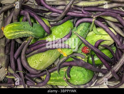 Garden harvest of fresh cucumbers and string beans, Pennsylvania, USA Stock Photo
