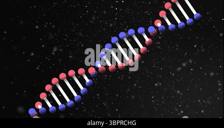Displaying DNA double helix in digital space, with red-blue nodes, connecting rods, particles Stock Photo