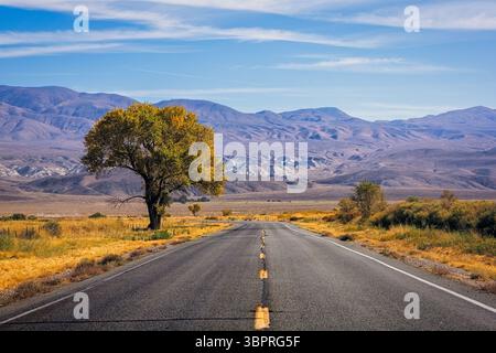 Scenic view of an endless road stretching through the Californian desert in autumn, leading towards distant mountains under a serene sky Stock Photo