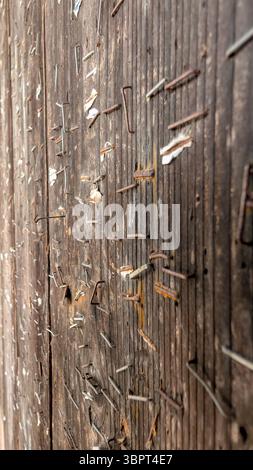 Close-up of a weathered wooden wall covered in rusty staples from removed posters and flyers. Stock Photo