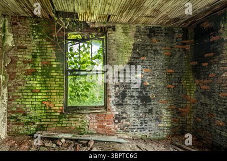 Exposed brick wall in decaying abandoned home, Indiana, USA Stock Photo