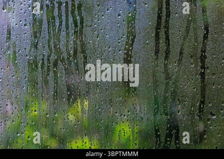 Raindrops and condensation on a window pane Stock Photo
