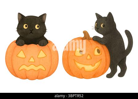 Two Black Cats Playing on Halloween Pumpkins – Adorable Spooky Cat Art Stock Photo