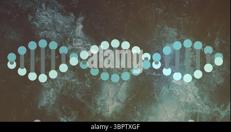 Displaying DNA helix segments in digital graphic art, with nucleotide circles and bond connectors Stock Photo