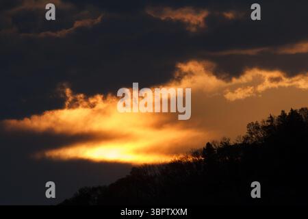 A colourful, cloudy sunrise  over a silhouetted forest in Kanagawa, Japan. Stock Photo