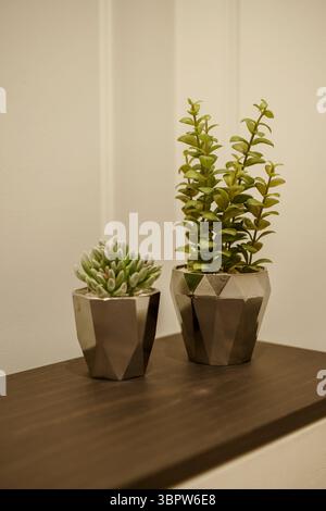 Close-up of two artificial plants, a faux Echeveria succulent and Crassula, in geometric silver pots on a dark wood shelf. Modern home decor detail. Stock Photo