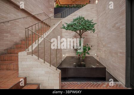 Modern interior with a brick wall and staircase. A small Ficus tree grows from a water feature, blending nature with architecture. Biophilic design co Stock Photo