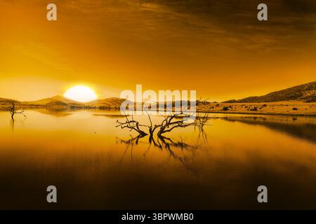 Gnarled dead tree branch is rising from lake water in flat design at sunset, with hills Stock Photo