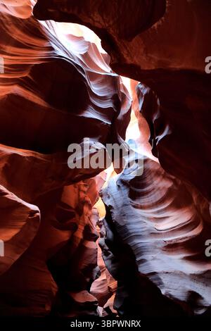 Undulating walls of orange and red sandstone in Antelope Canyon’s narrow slot reveal centuries of erosion carved by wind and water in Page Arizona USA Stock Photo